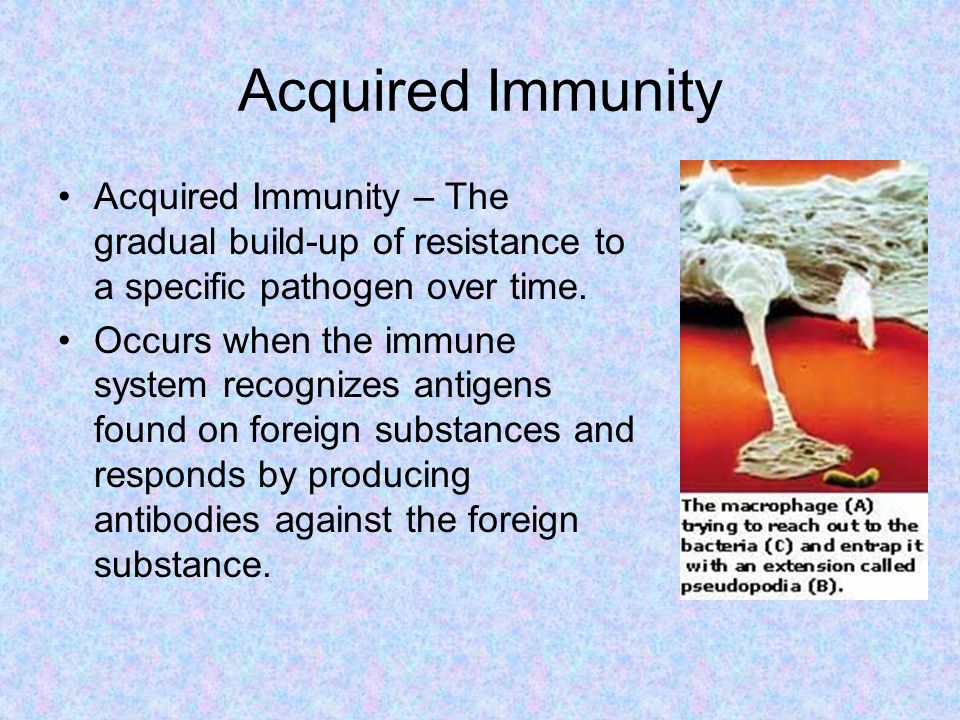 Acquired Immunity Acquired Immunity – The gradual build-up of resistance to a specific pathogen over time.
