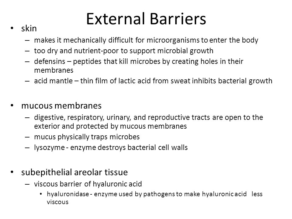 External Barriers skin mucous membranes subepithelial areolar tissue