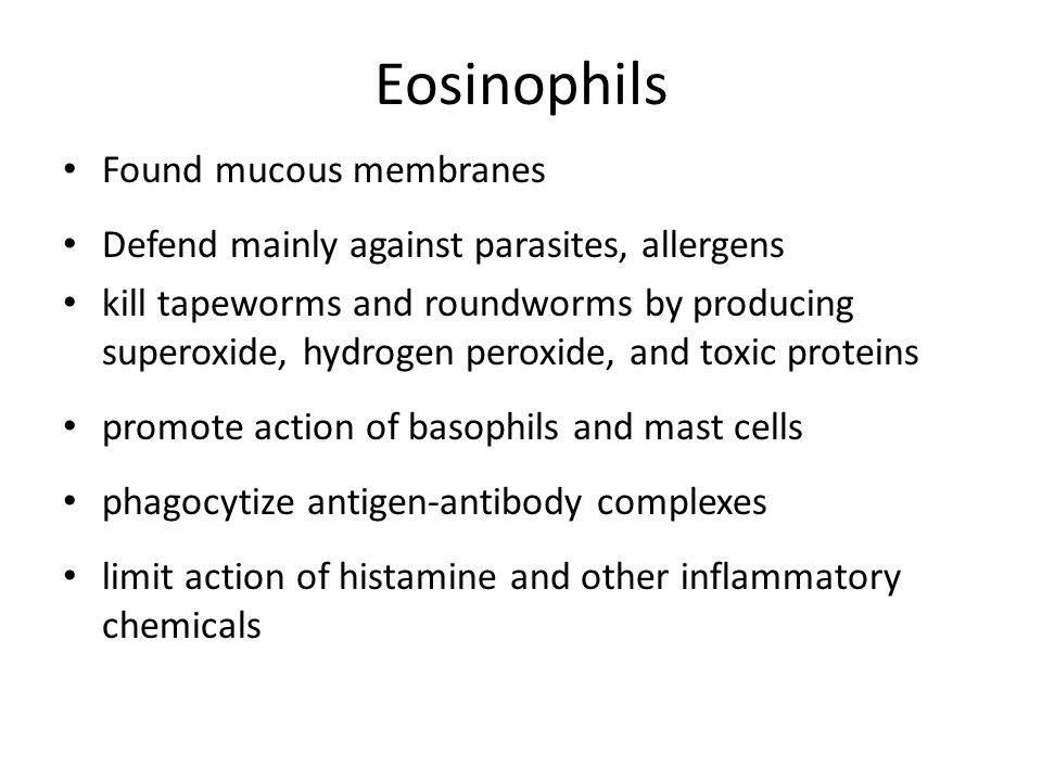 Eosinophils Found mucous membranes