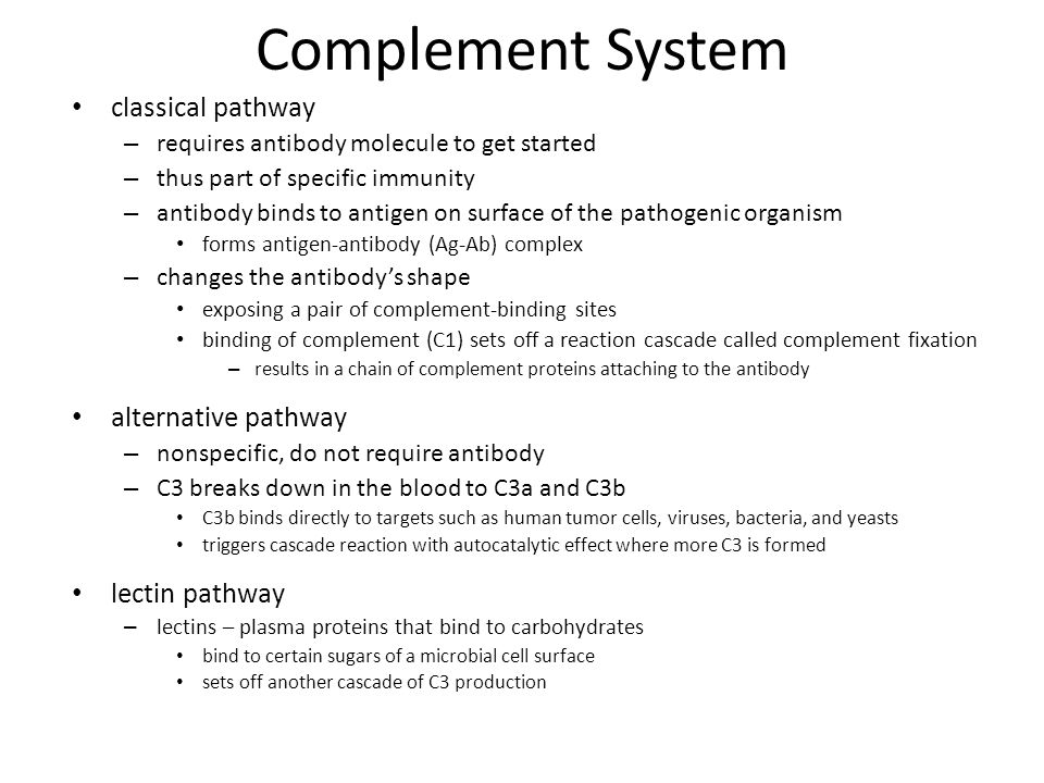 Complement System classical pathway alternative pathway lectin pathway