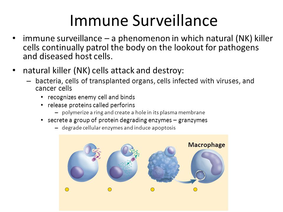 Immune Surveillance