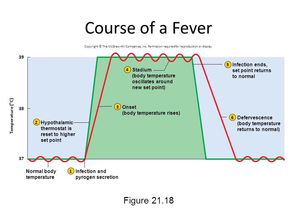Course of a Fever Figure Infection ends, set point returns