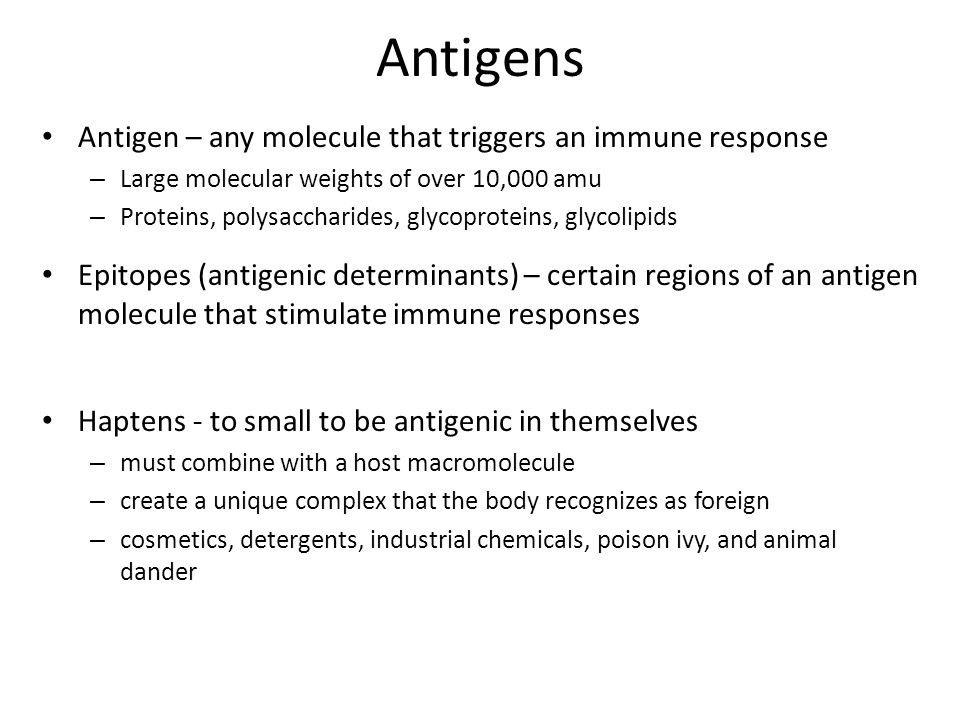 Antigens Antigen – any molecule that triggers an immune response