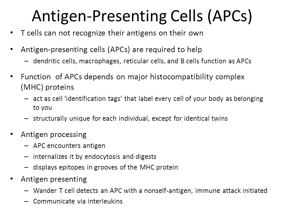 Antigen-Presenting Cells (APCs)
