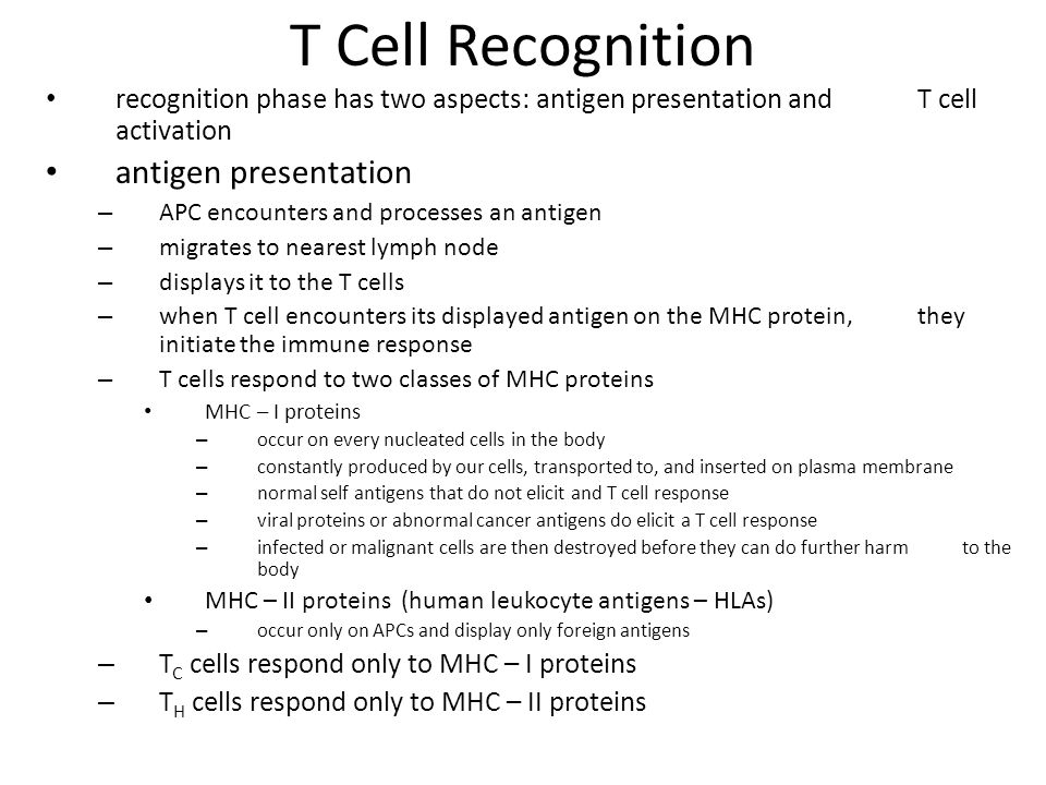 T Cell Recognition antigen presentation