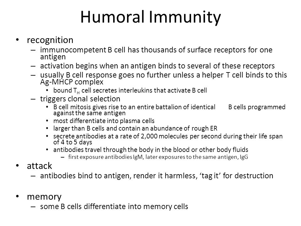 Humoral Immunity recognition attack memory