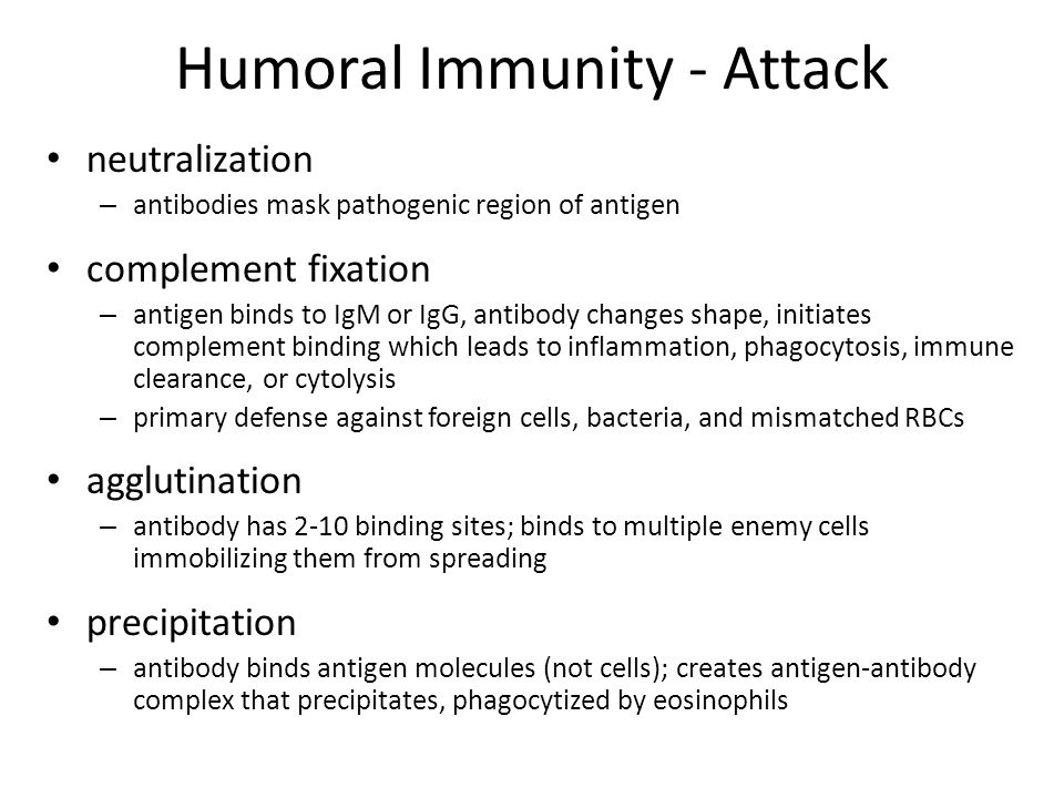 Humoral Immunity - Attack