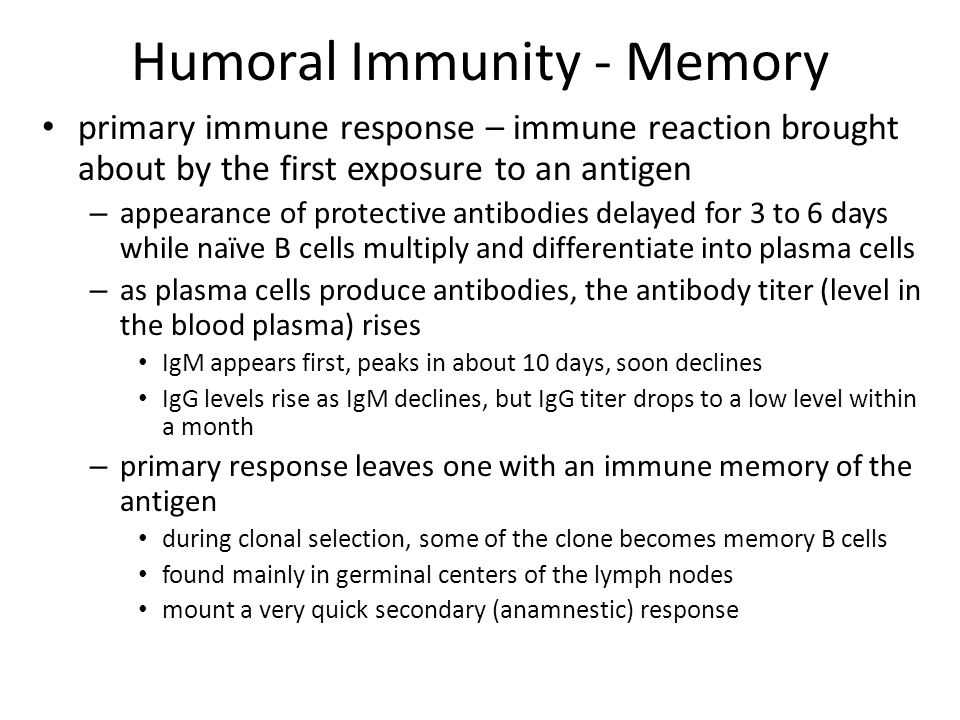 Humoral Immunity - Memory