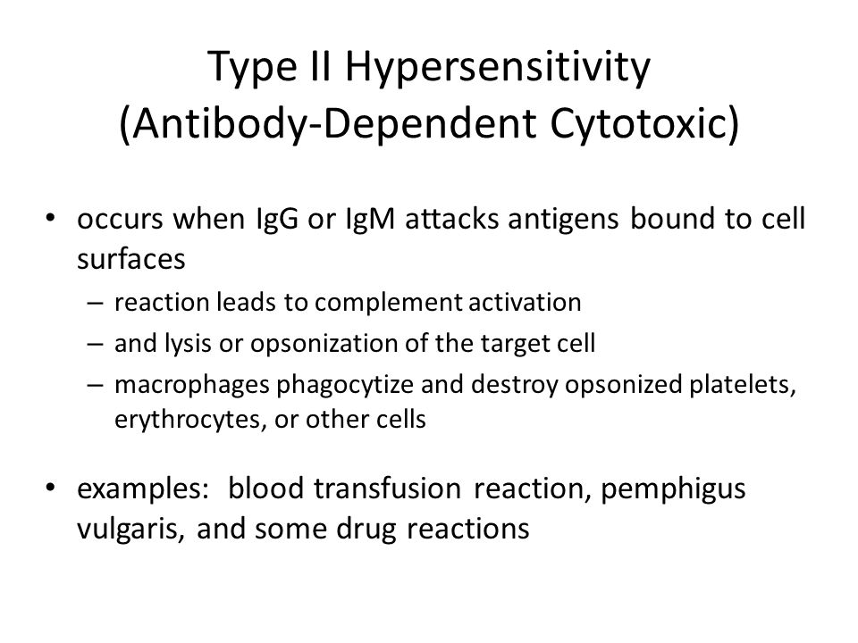 Type II Hypersensitivity (Antibody-Dependent Cytotoxic)