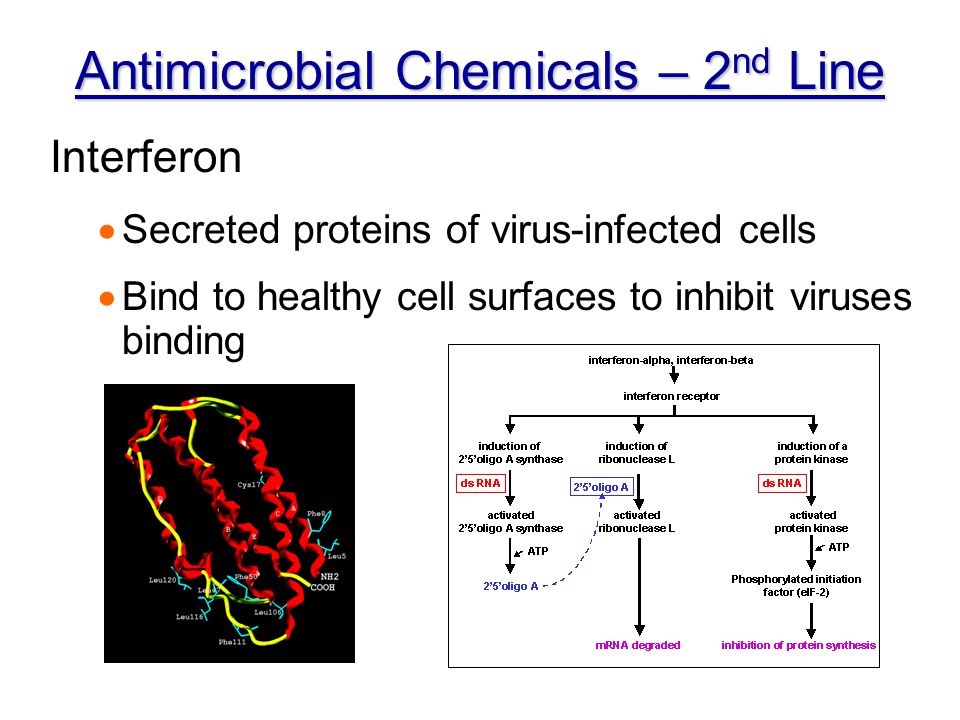 Antimicrobial Chemicals – 2nd Line