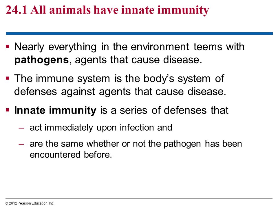 24.1 All animals have innate immunity