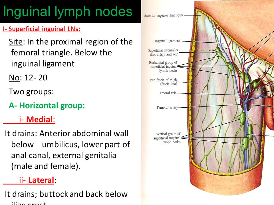 Inner thigh gland Swollen lymph