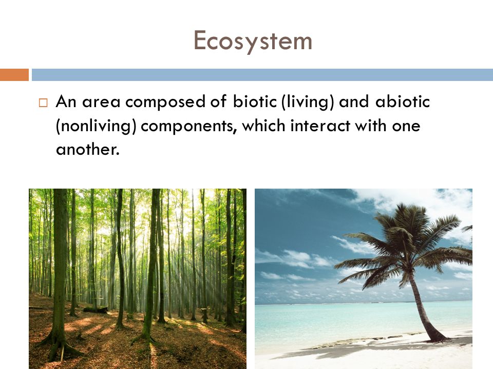 Ecosystem An area composed of biotic (living) and abiotic (nonliving) components, which interact with one another.