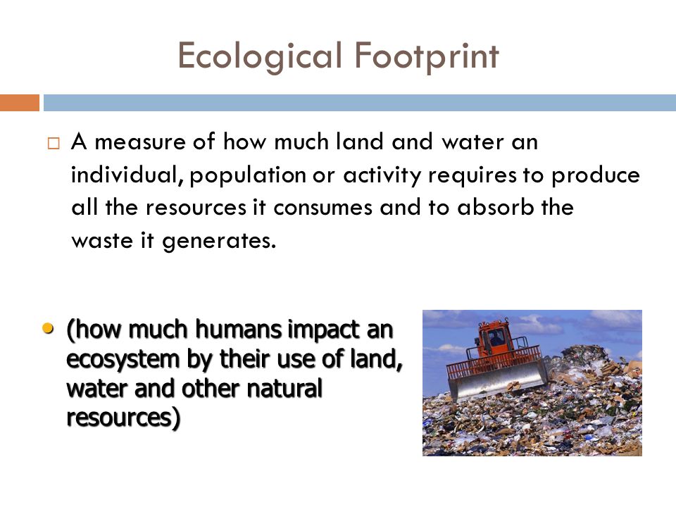 Ecological Footprint