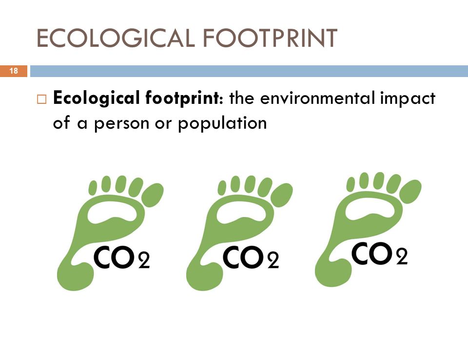 ECOLOGICAL FOOTPRINT Ecological footprint: the environmental impact of a person or population