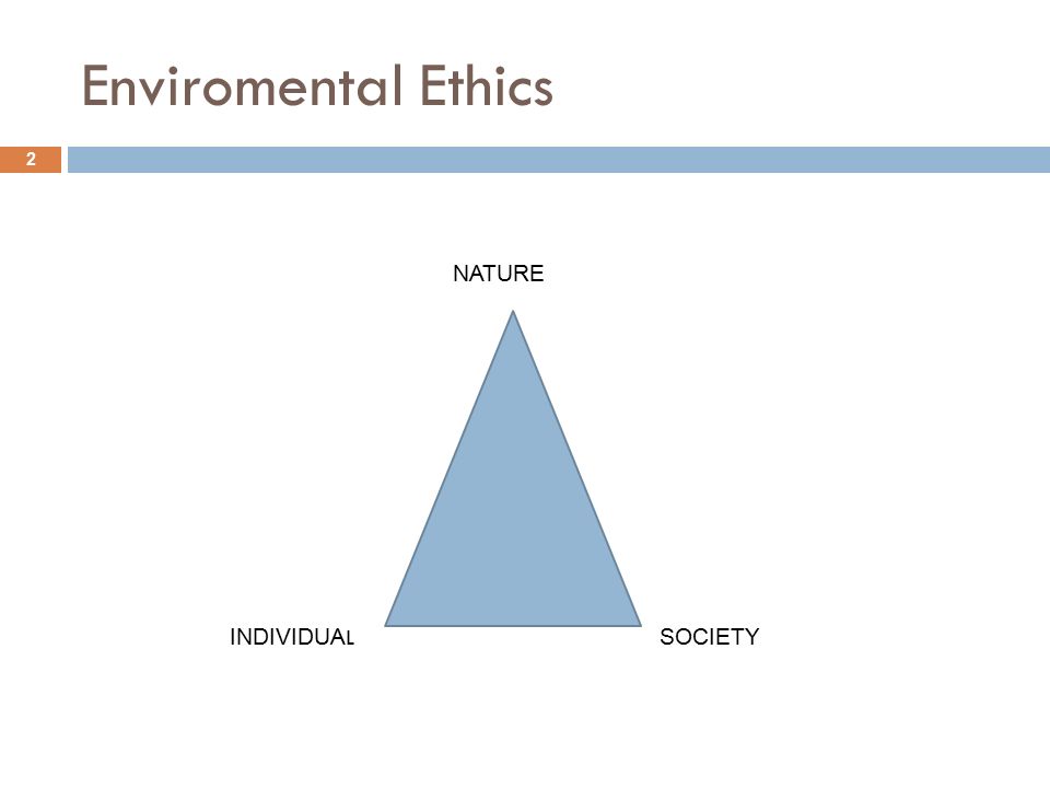 Enviromental Ethics NATURE INDIVIDUAL SOCIETY