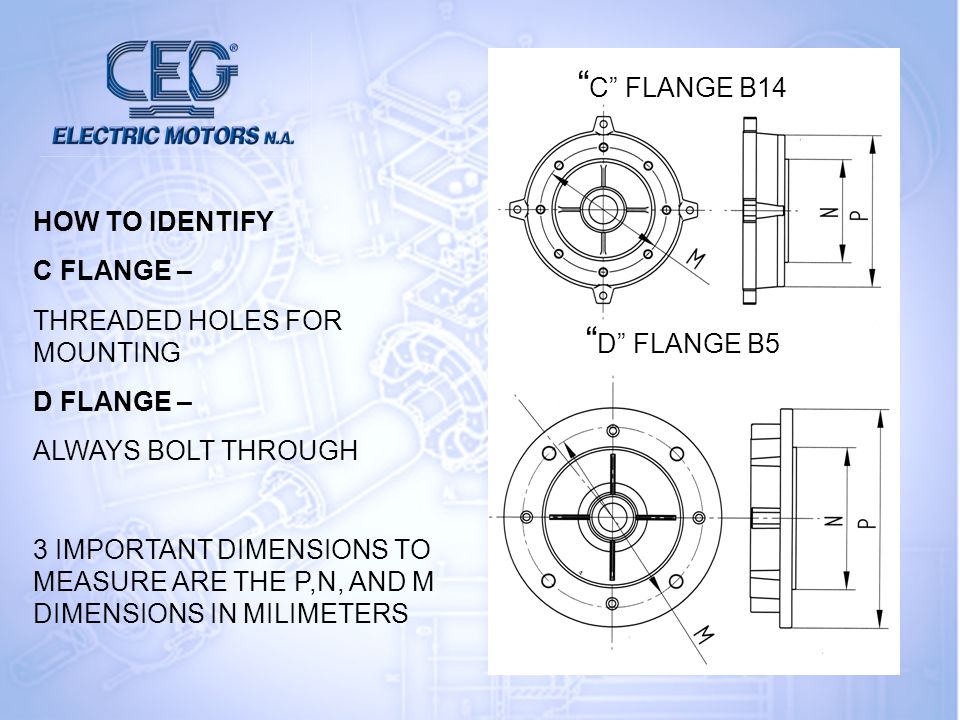 Ceg North America The Metric Motor Specialists Ppt Video Online Download
