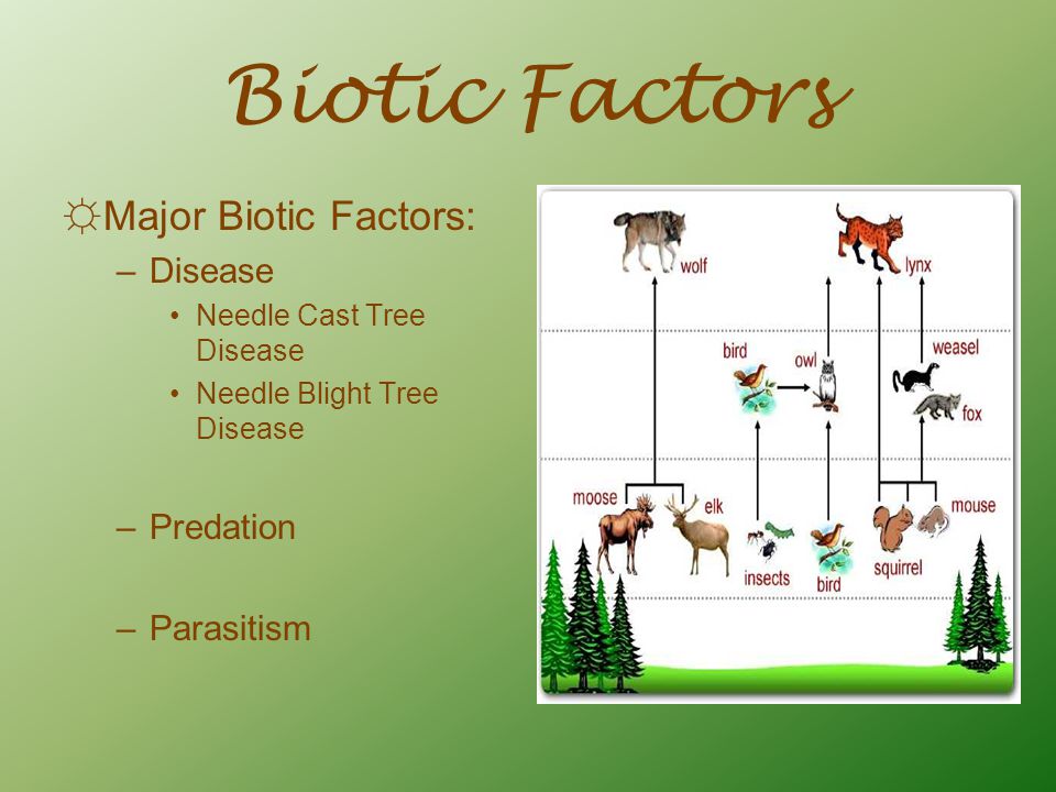 Biotic Factors Major Biotic Factors: Disease Predation Parasitism.
