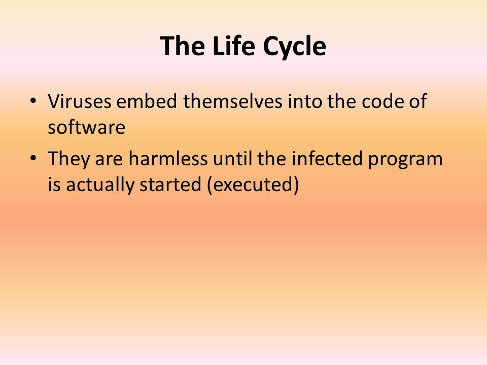 The Life Cycle Viruses embed themselves into the code of software