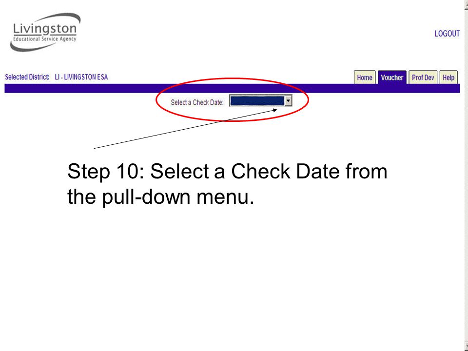 Step 10: Select a Check Date from the pull-down menu.