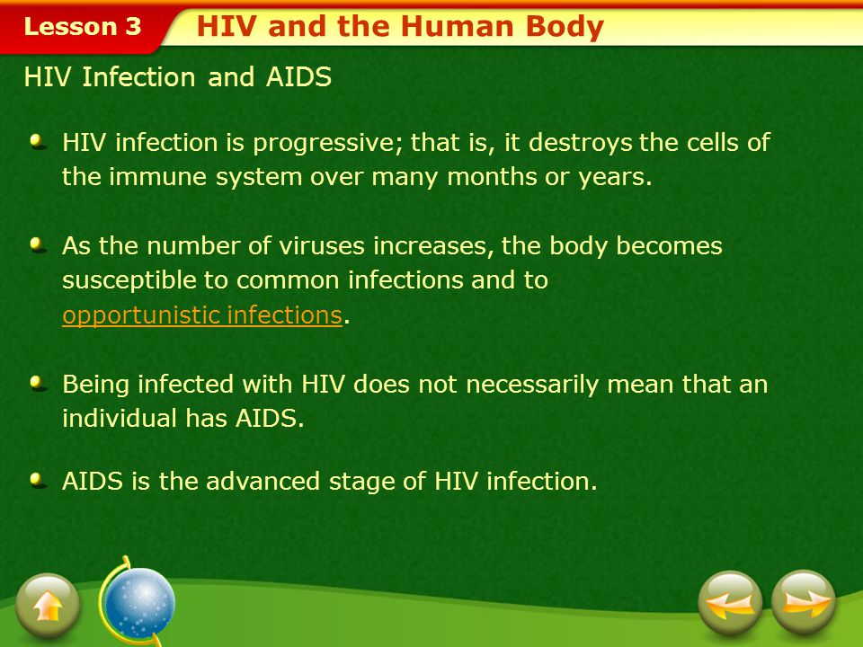 HIV and the Human Body HIV Infection and AIDS