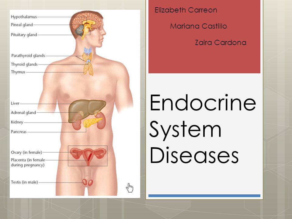 Endocrine System Diseases.