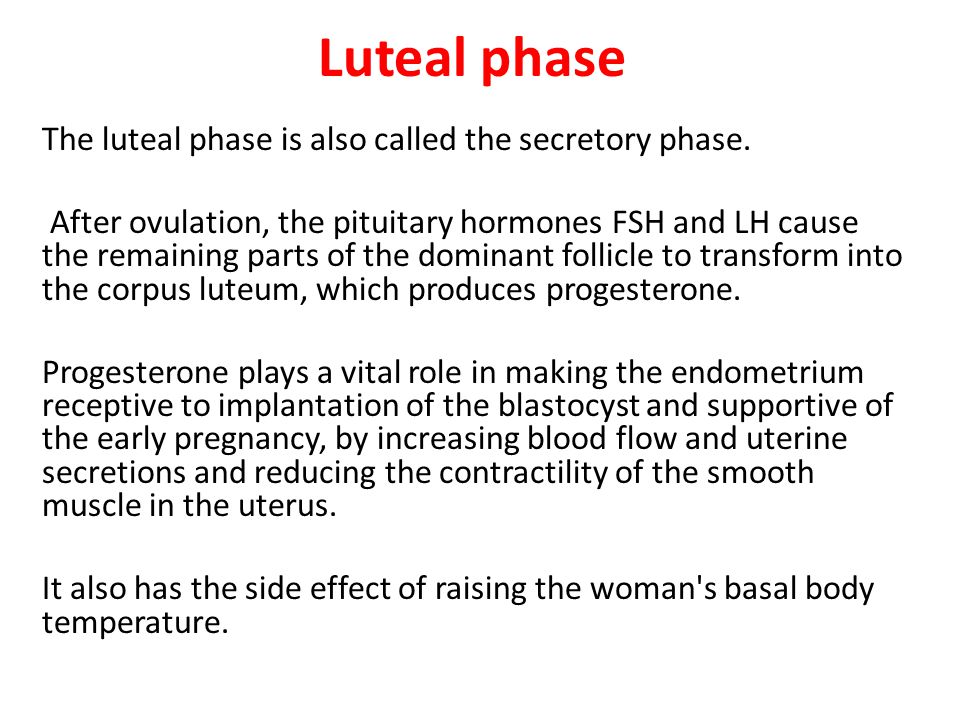 Menstrual cycle By: Dr. Zeinab Hakim ppt video online download
