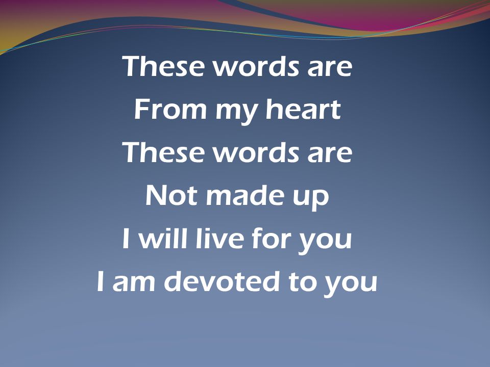 These words are From my heart Not made up I will live for you I am devoted to you