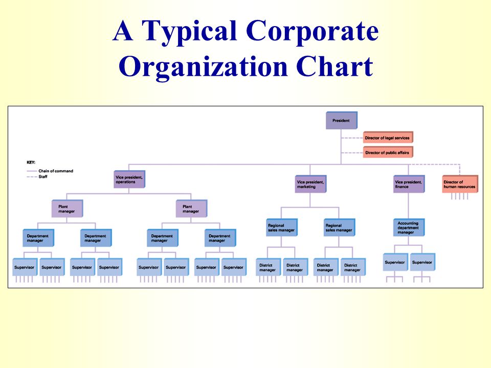 Typical Corporate Organizational Chart