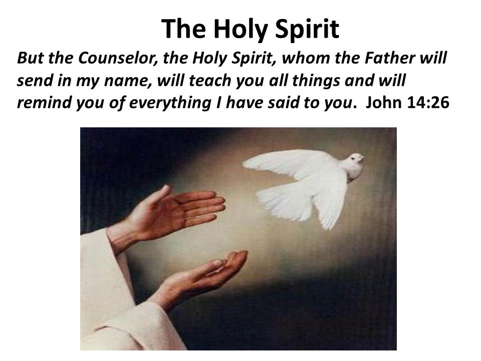 The Holy Spirit But the Counselor, the Holy Spirit, whom the Father will send in my name, will teach you all things and will remind you of everything I have said to you.