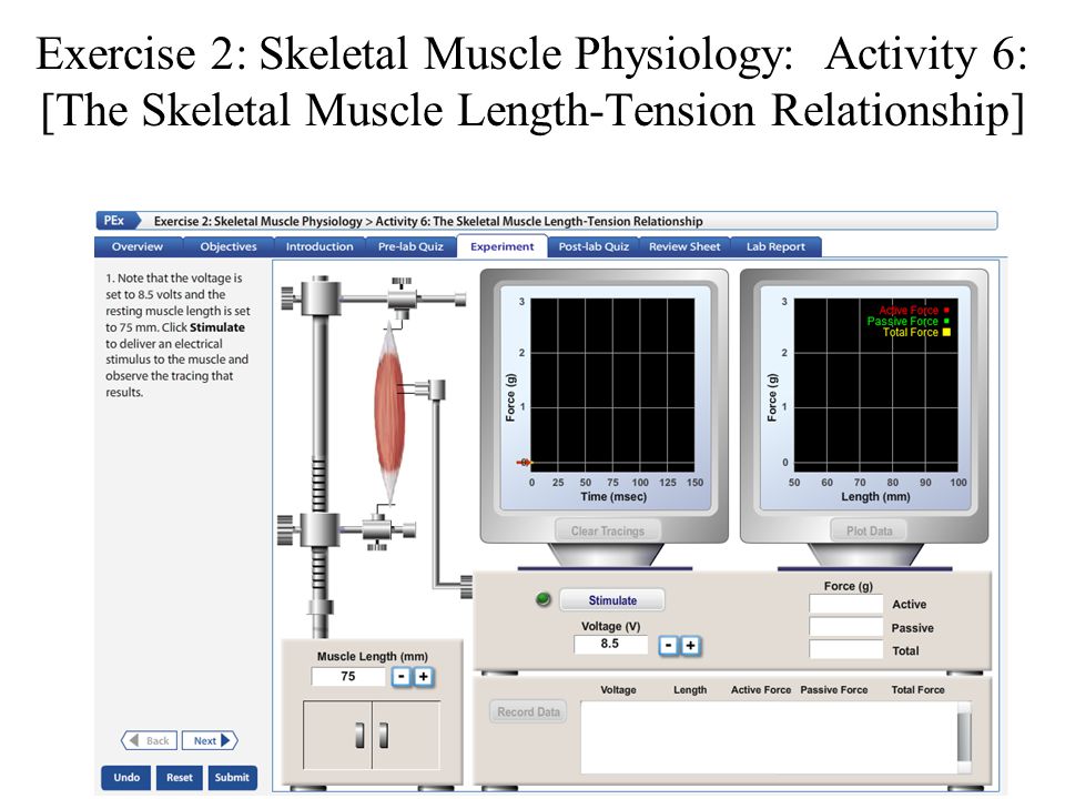 physioex 9.1 exercise 9 activity 2