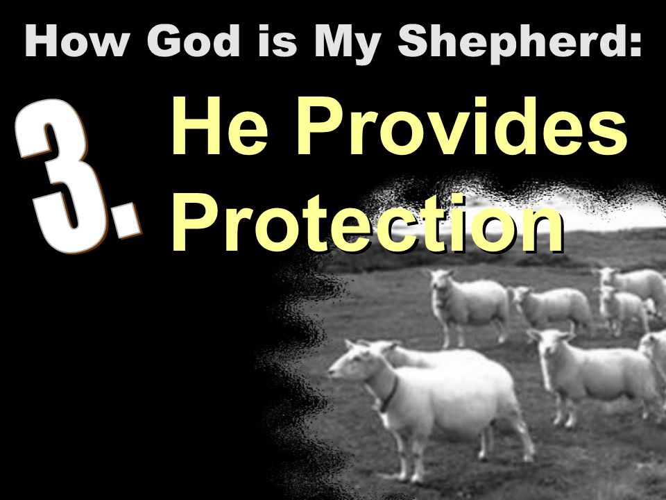 He Provides Protection