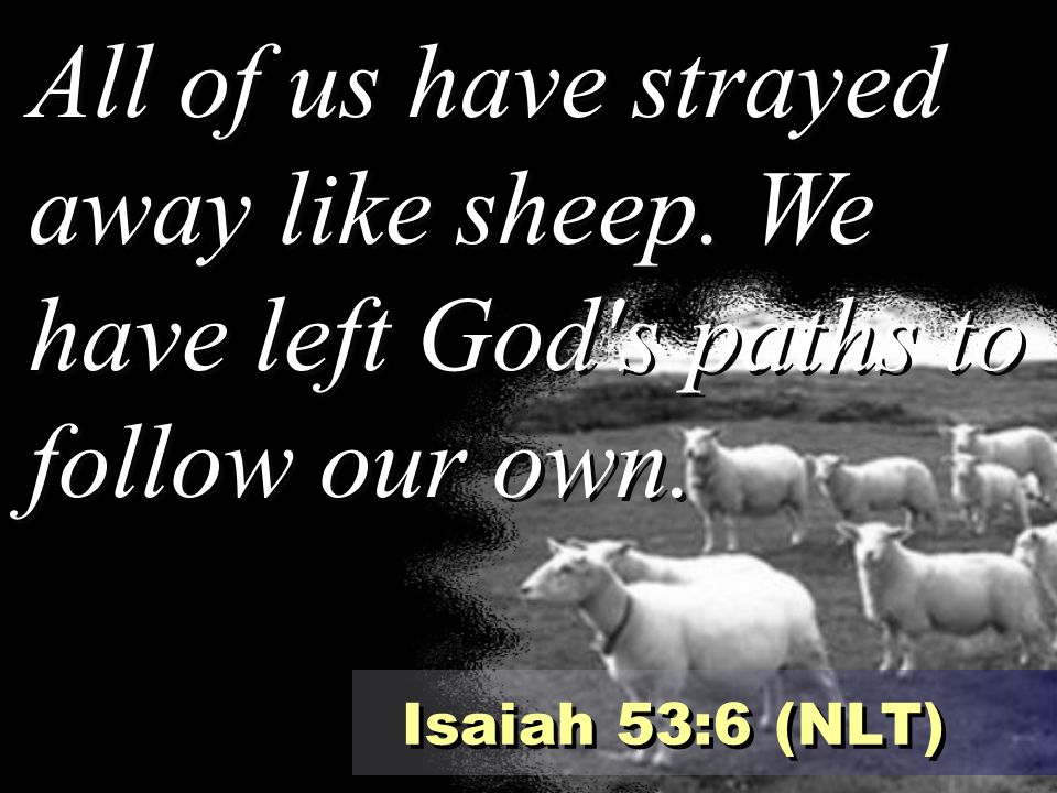 All of us have strayed away like sheep