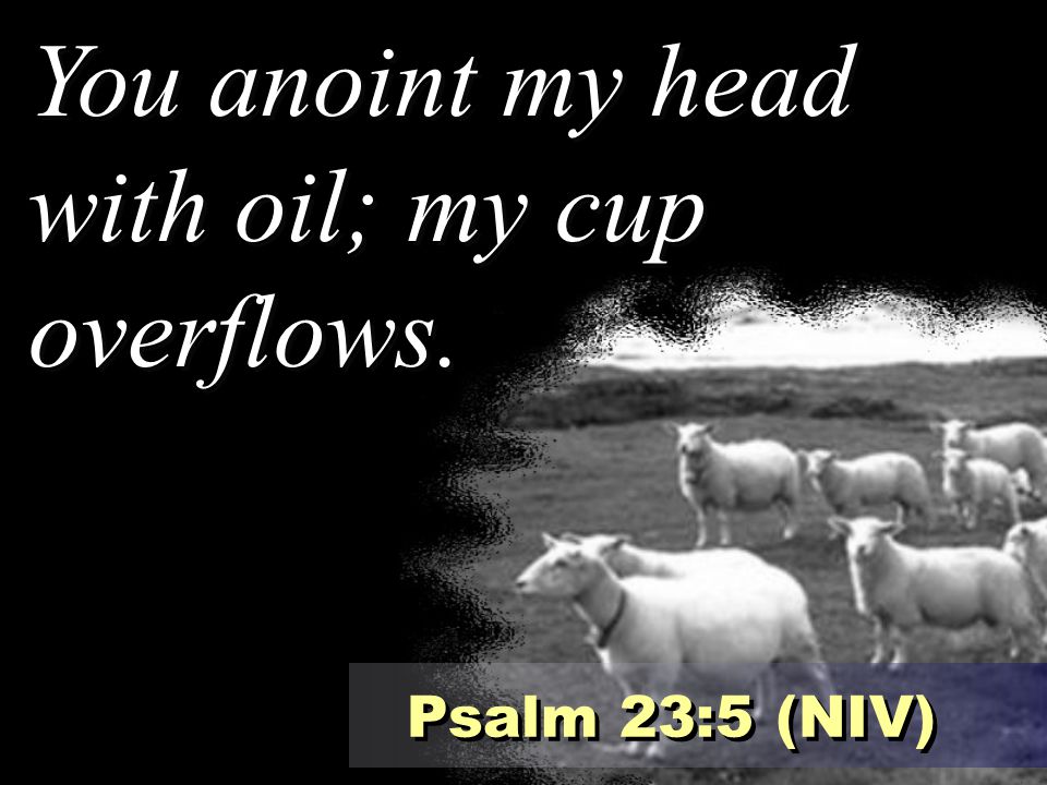 You anoint my head with oil; my cup overflows.