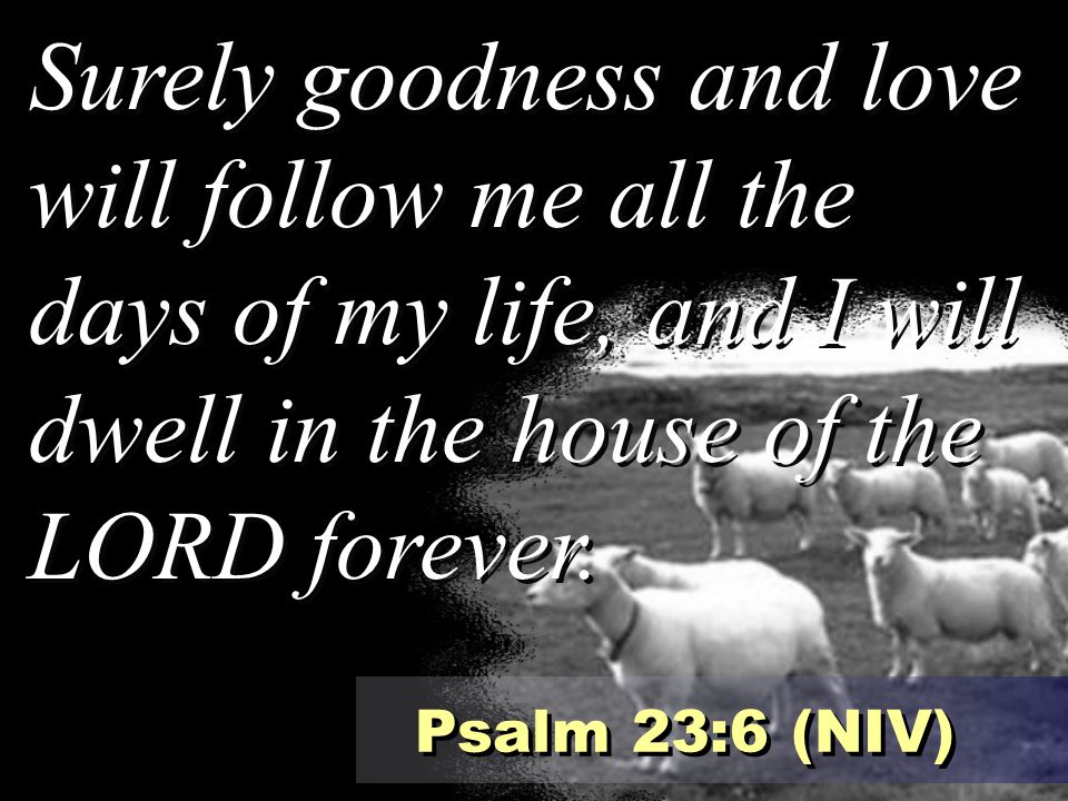 Surely goodness and love will follow me all the days of my life, and I will dwell in the house of the LORD forever.