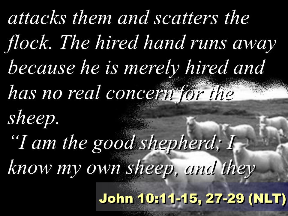 I am the good shepherd; I know my own sheep, and they