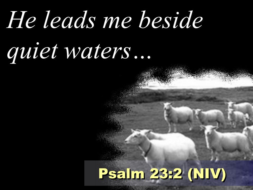 He leads me beside quiet waters…