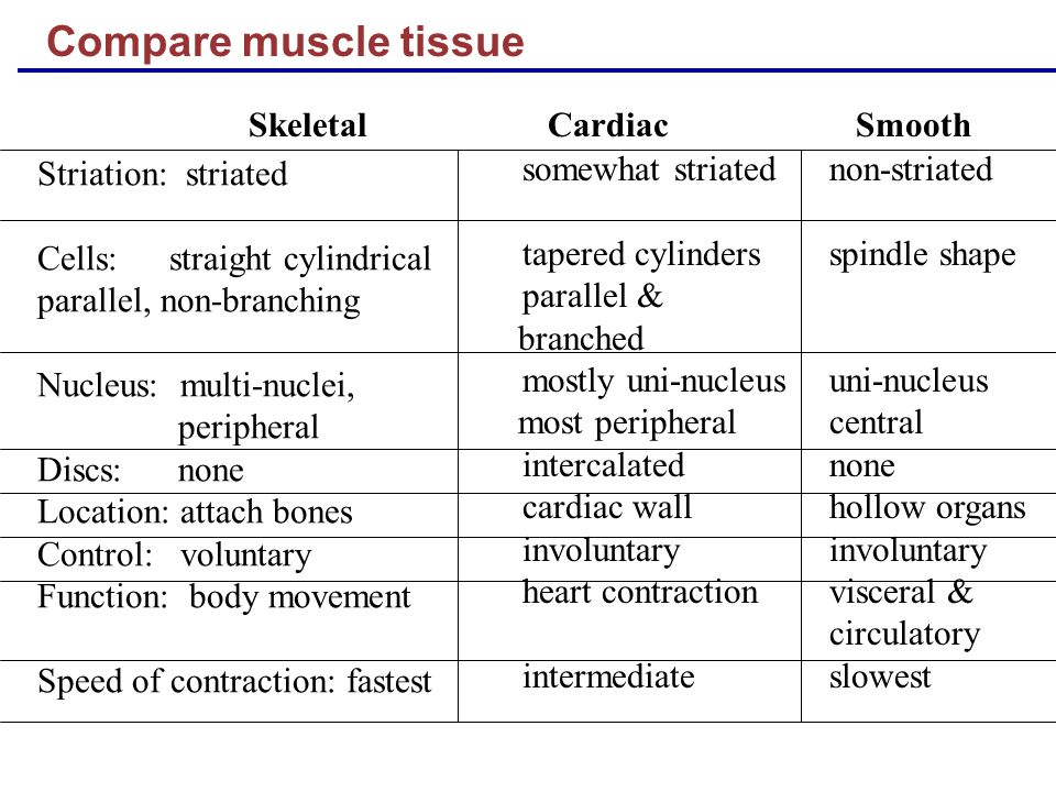 Skeletal Smooth And Cardiac Muscle Comparison Chart