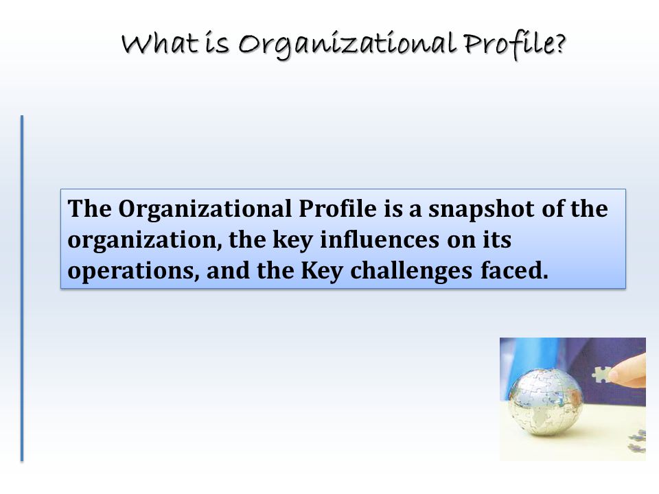 What is Organizational Profile