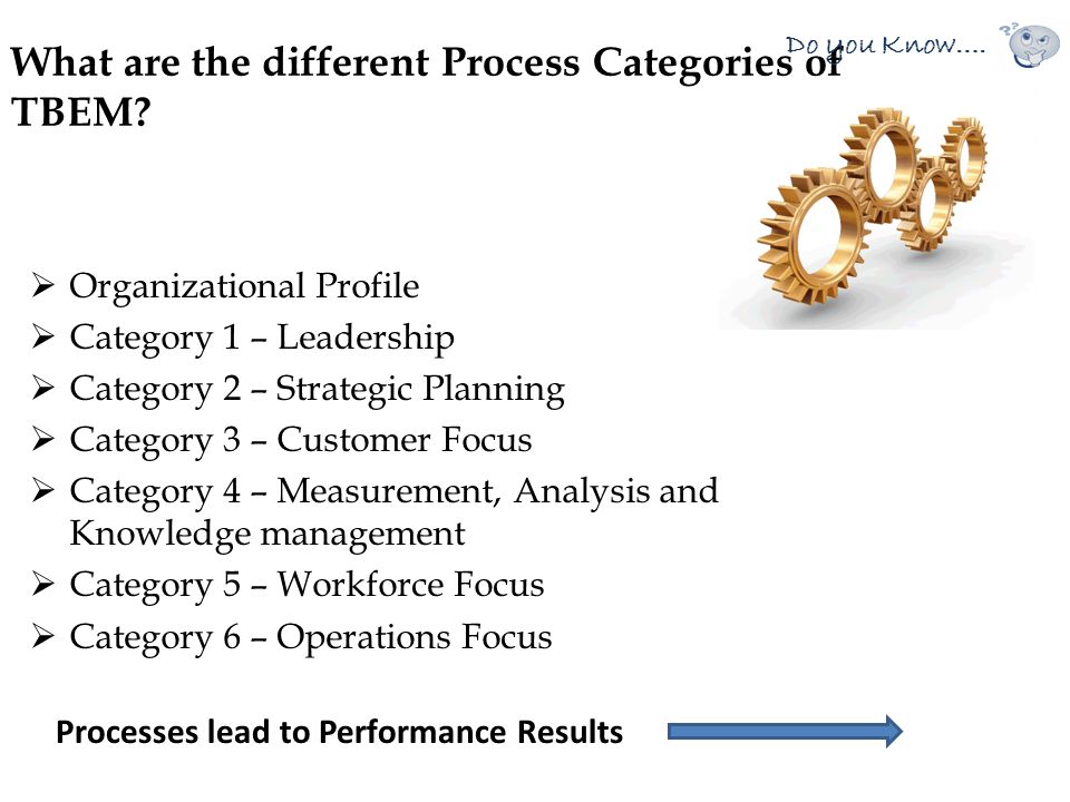 What are the different Process Categories of TBEM