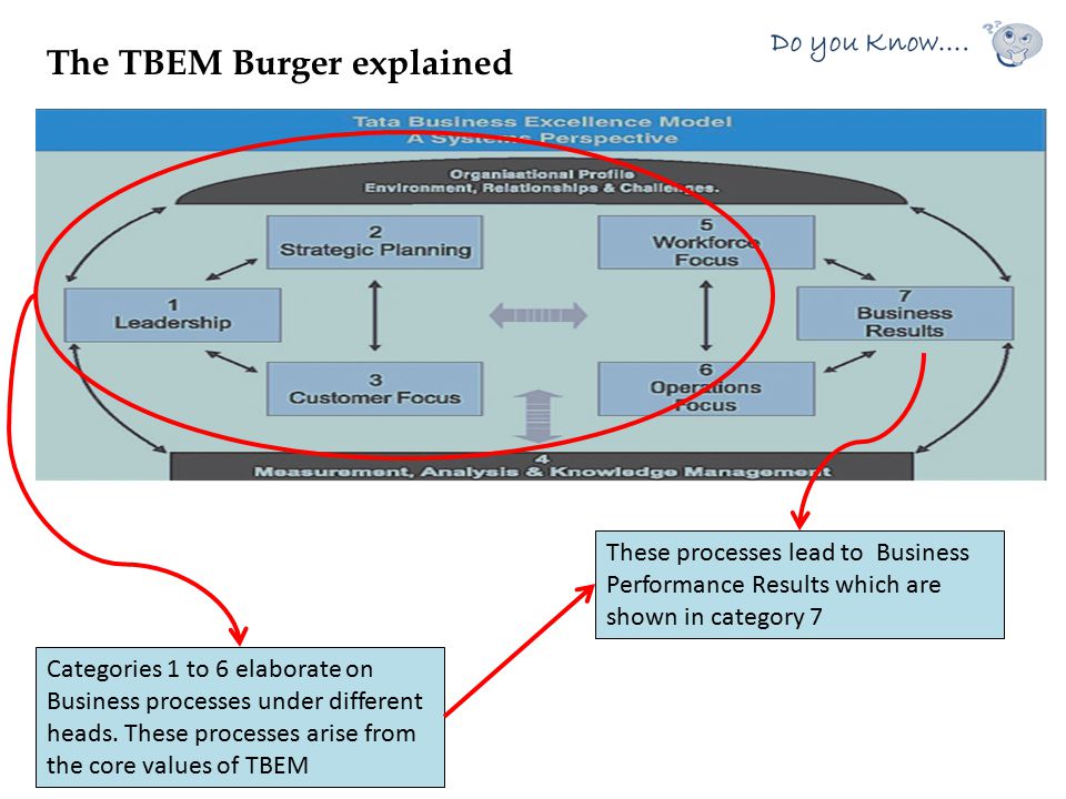 The TBEM Burger explained