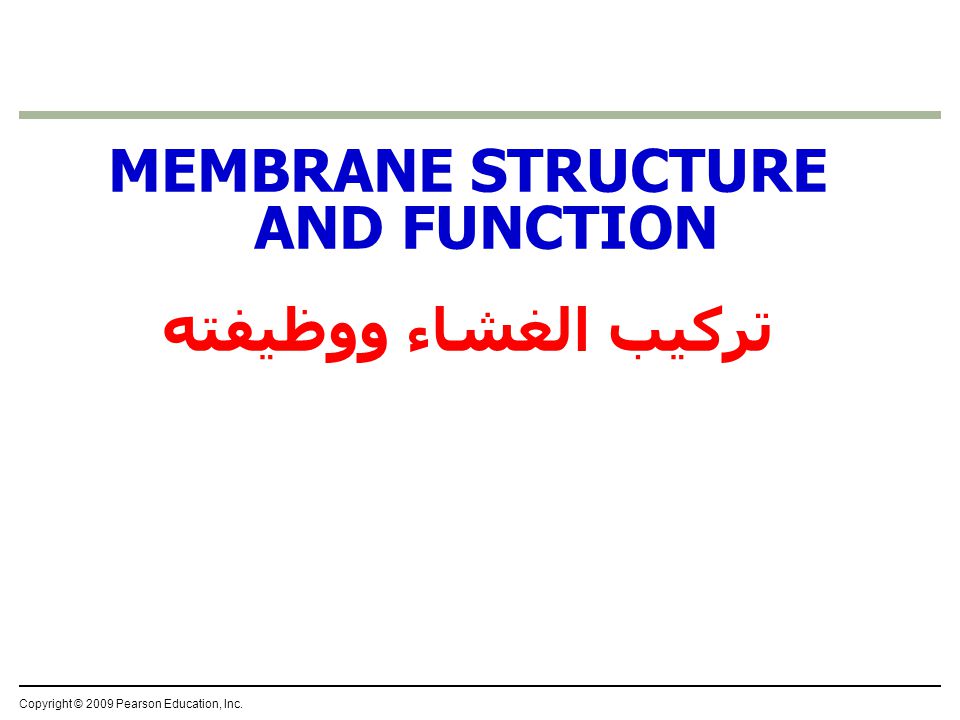 MEMBRANE STRUCTURE AND FUNCTION