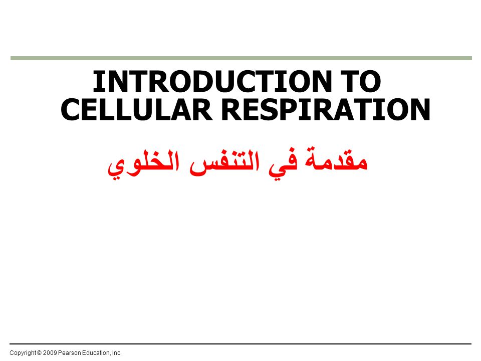 INTRODUCTION TO CELLULAR RESPIRATION