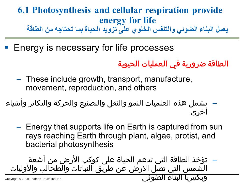Energy is necessary for life processes