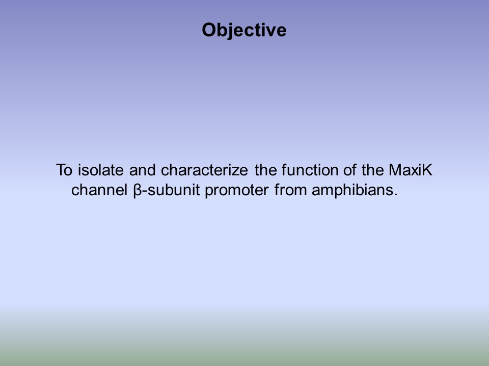 Objective To isolate and characterize the function of the MaxiK channel β-subunit promoter from amphibians.