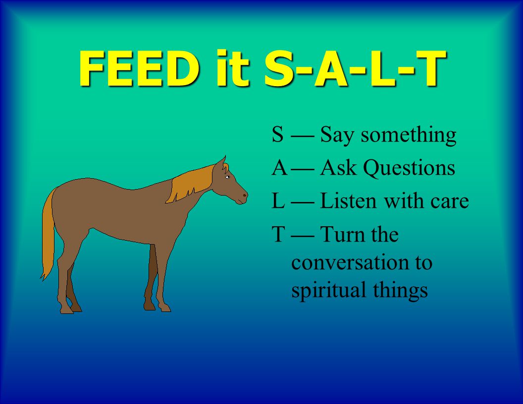 FEED it S-A-L-T — Say something — Ask Questions — Listen with care