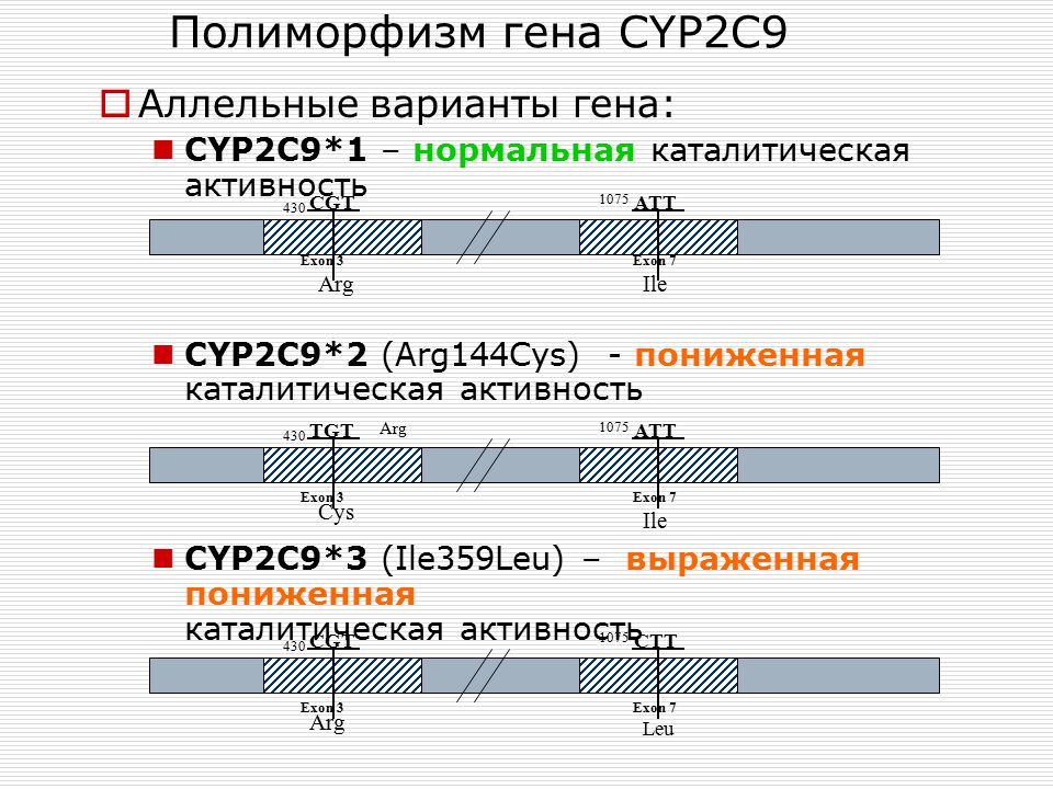 Аллельные варианты гена. Полиморфизм Гена это. Cyp2c9*2. Cyp2c9 полиморфизм. Полиморфизм генов.