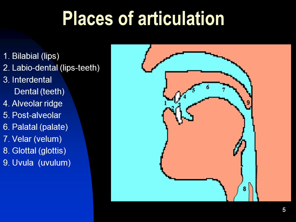 Places of articulation