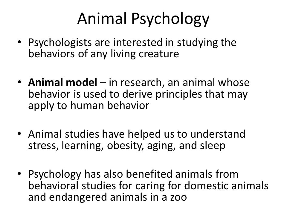 Intro to Psych Greek roots psyche – mind and logos – knowledge or study  Since we cannot study the mind directly, the approved definition bases the  study. - ppt download