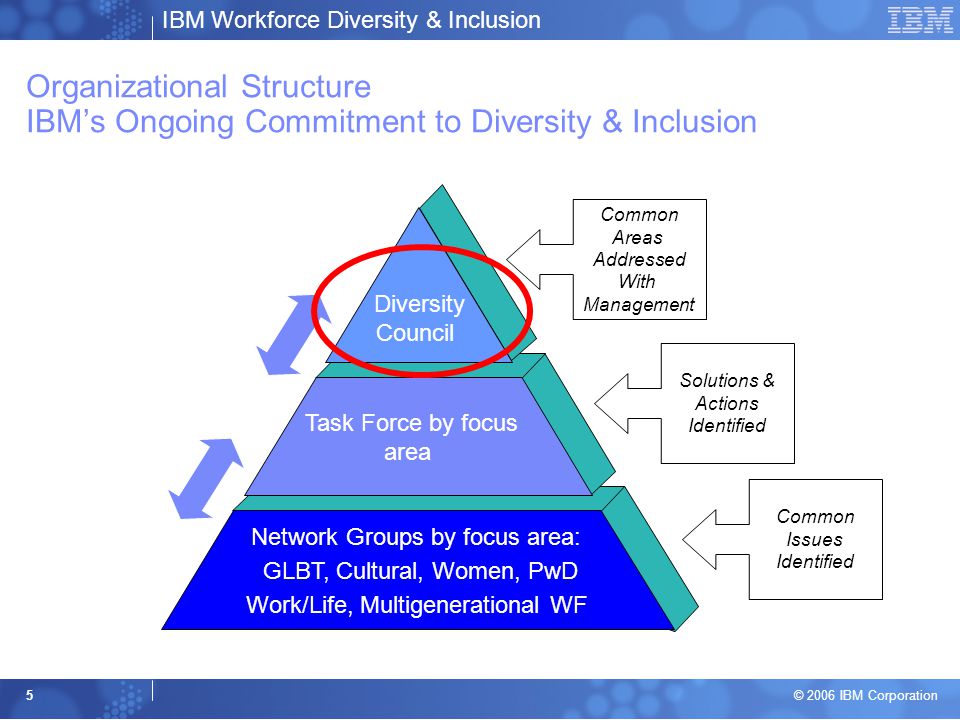 Organizational Structure IBM’s Ongoing Commitment to Diversity & Inclusion